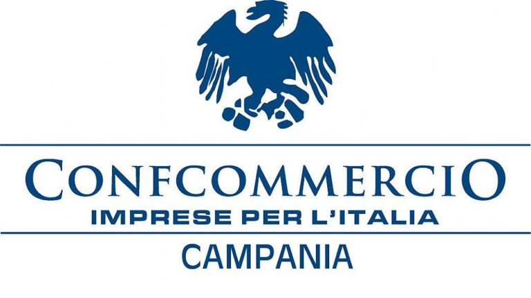 Confcommercio Salerno al Prefetto: “Più controlli per evitare furti”