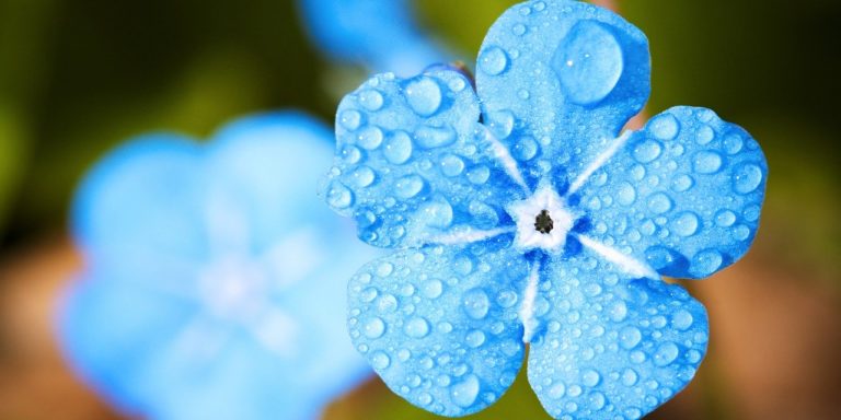 “Light It Up Blue”, il 2 aprile accendiamo una luce sull’autismo