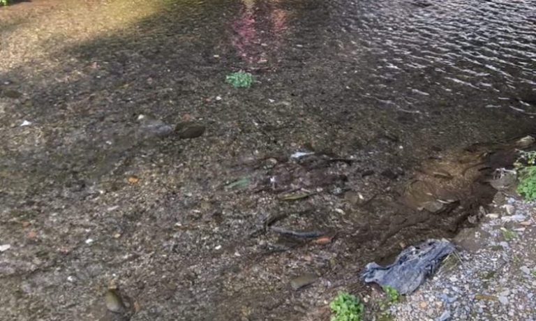 Nocera Inferiore, Fasanino: “Maggiore controllo qualità acque fiume Sarno”