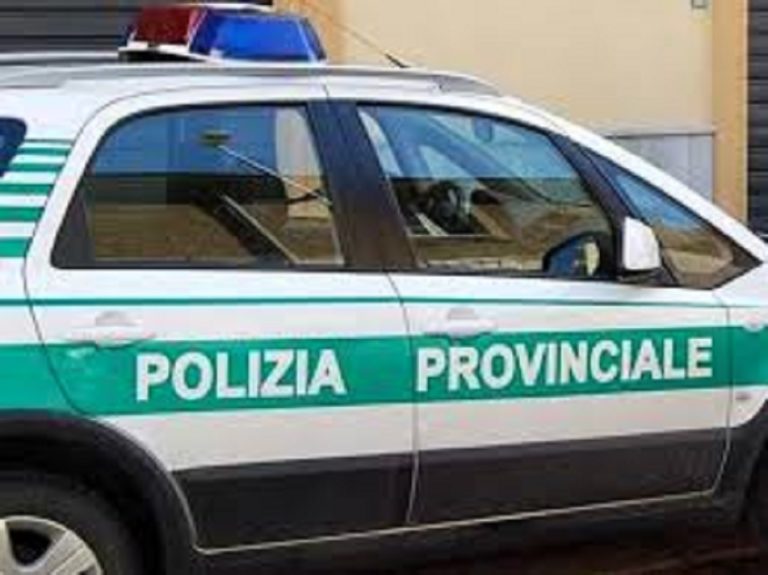 Covid-19, controlli mirati della Polizia provinciale di Salerno