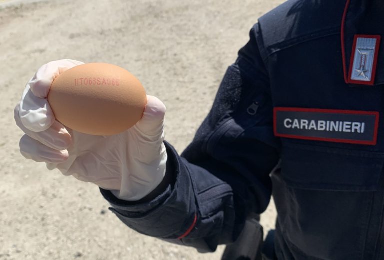 Salerno, controlli dei Carabinieri nel settore della tutela agroalimentare