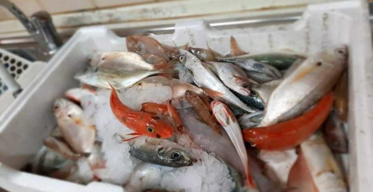 Pontecagnano, Covid-19: donano casse di pesce per le festività pasquali