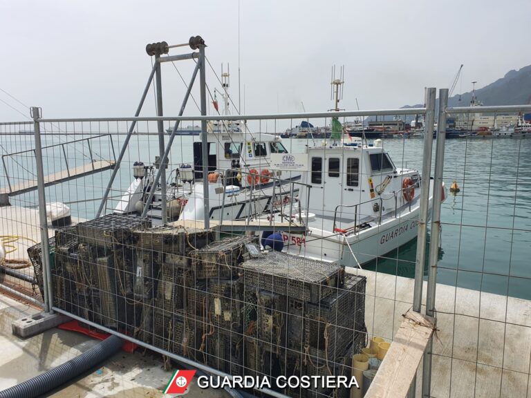 Pesca illegale: i controlli della Guardia Costiera di Salerno
