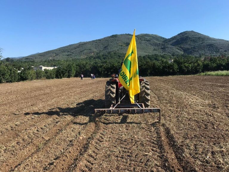 Coldiretti, a Giffoni Valle Piana inizia la semina dell’arachide 100% campano