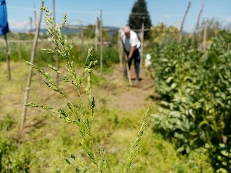 Pontecagnano, Fase 2: il 18 maggio riaprirà il Parco Eco-archeologico