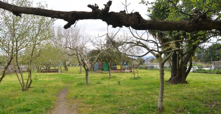 Pontecagnano, riapre il Parco eco-archeologico: ecco tutte le regole