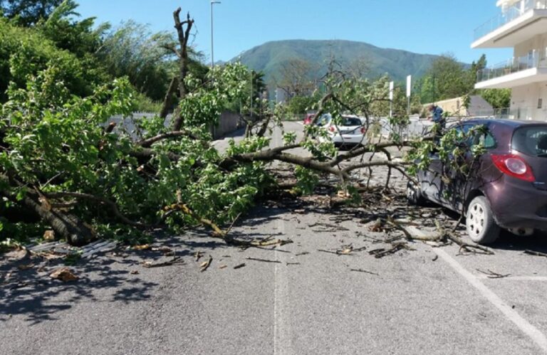 Roccapiemonte, dramma sfiorato per la caduta di un albero