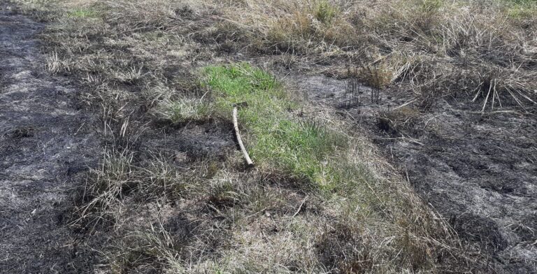 Battipaglia, cadavere carbonizzato rinvenuto in un terreno