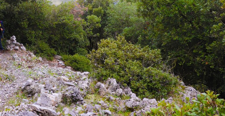 Parco del Cilento, smaltimento illecito di rifiuti: denunciati diversi soggetti