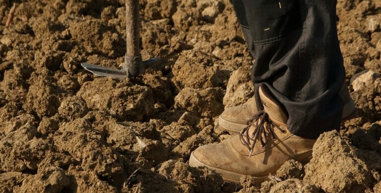 Piana del Sele, braccianti agricoli truffati: 5mila euro per la regolarizzazione