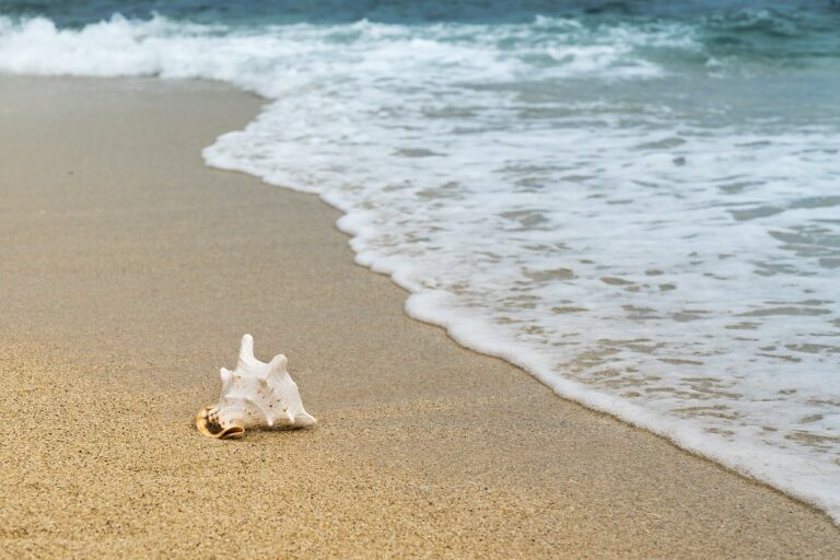 Pastena, spiaggia rifatta ma sporca da liquami: indignati i residenti