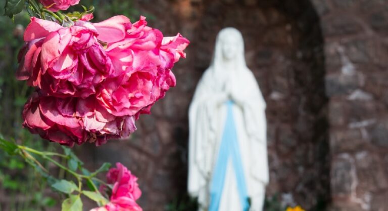 Scafati, statua della Madonna usata contro le discariche abusive