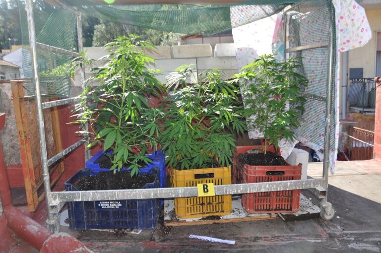 Cava, scoperta serra artigianale per la coltivazione di cannabis in un sottotetto