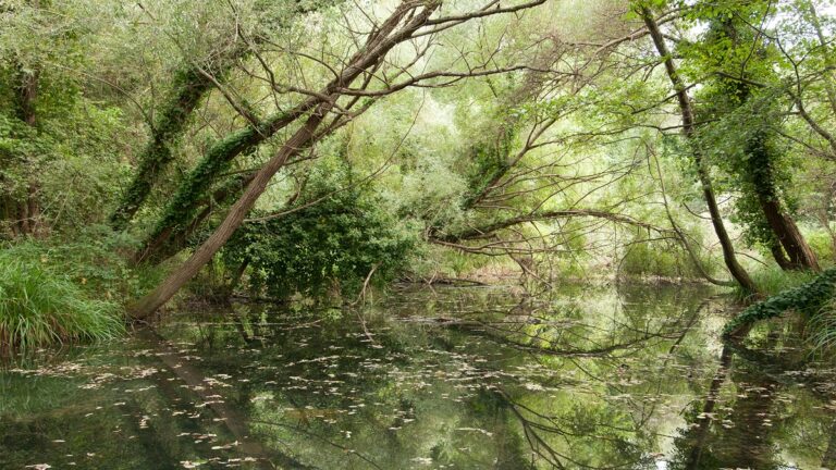 Sele – Tanagro – Calore, al via il contratto di fiume