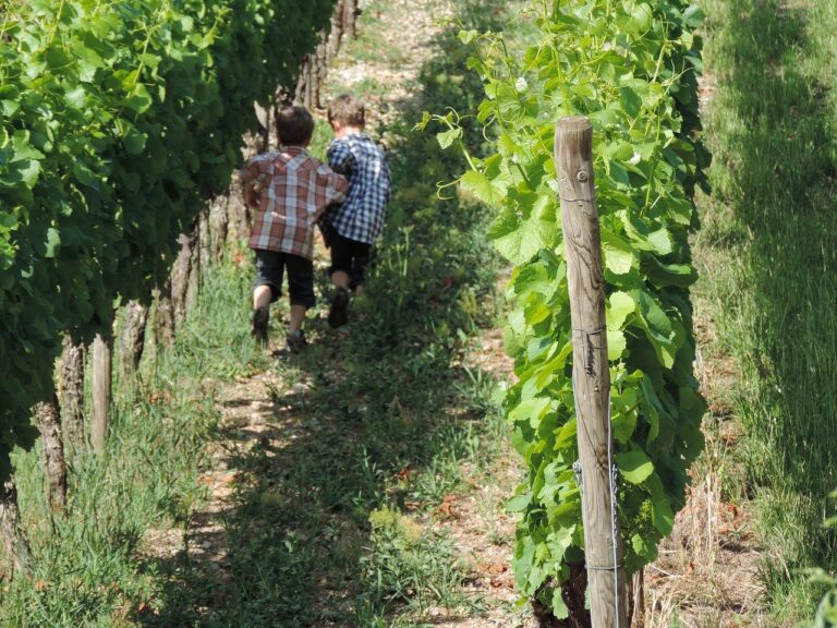 Coldiretti Salerno, voucher per bambini negli Agriasili