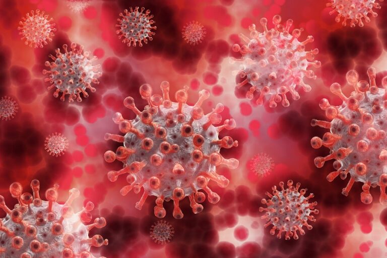 Coronavirus, il bollettino giornaliero della Regione Campania