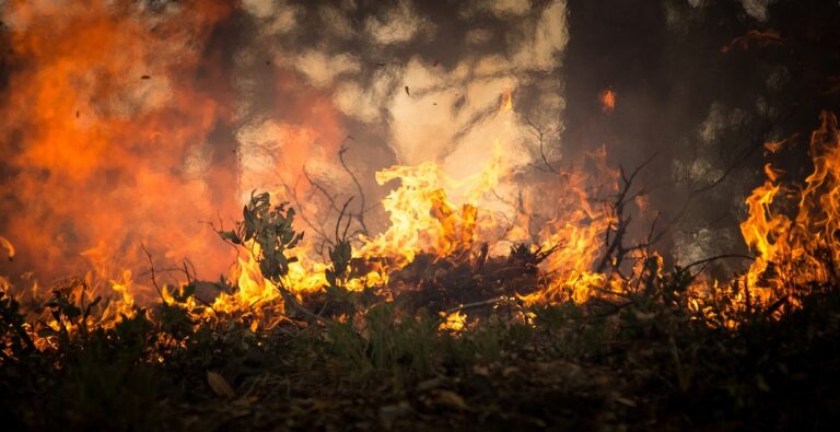 Bosco di Pontecagnao Faiano in fiamme: incerte le cause