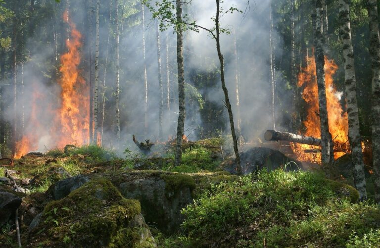 Pellezzano, attivato il nuovo servizio per prevenire gli incendi boschivi