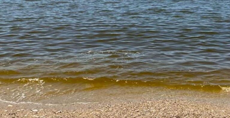 Mare sporco nel salernitano: le segnalazioni dei cittadini