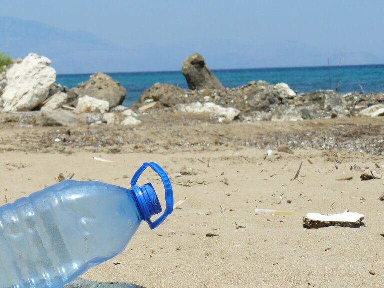 Salerno, spiagge invase dalla plastica: l’allarme di Legambiente