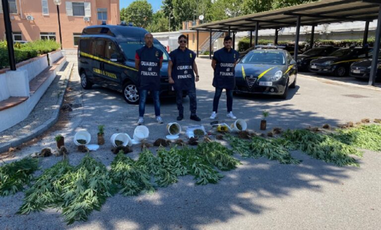 San Mango Piemonte, maxi-sequestro di marijuana e hashish