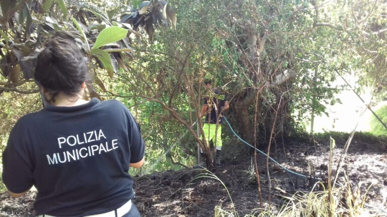 Incendio a Coperchia di Pellezzano. Immediati i soccorsi