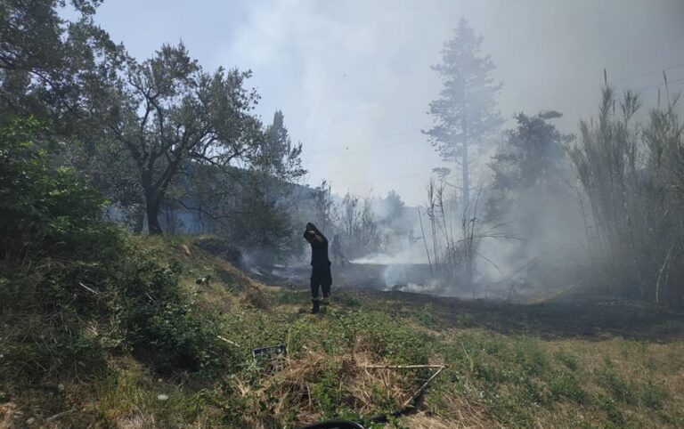 Cava de’ Tirreni, incendio doloso sul Monte Caruso