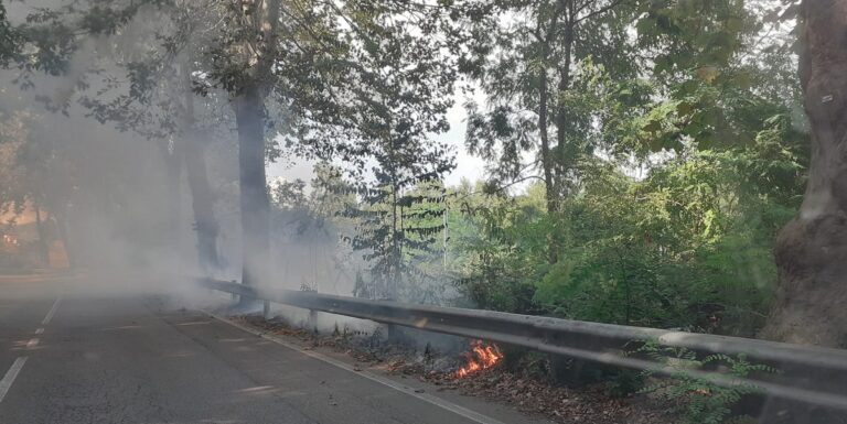 Baronissi, incendio lungo la SR 88. Intervenuti i Vigili del Fuoco