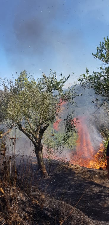 Castel San Giorgio: vasto incendio colpisce zona boschiva, interviene la Croce Azzurra