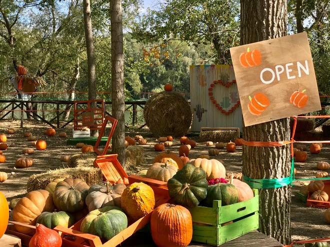 A Eboli torna “La Terra delle zucche”: l’evento più cool d’autunno