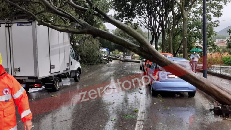 Baronissi: maltempo abbatte tre alberi, chiusa Via Aldo Moro