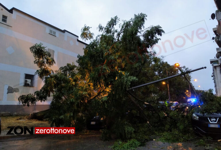 Battipaglia, spavento in via Ricciardi. Albero crolla su un’auto