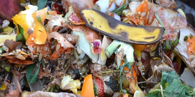 Compost prodotto a Salerno contribuirà alla bonifica discarica Parapoti