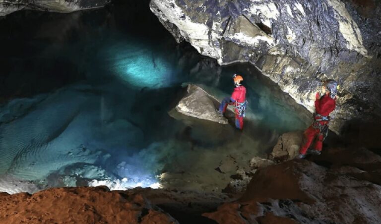 Grotte di Castelcivita, due giorni dedicati a piante officinali e da profumo