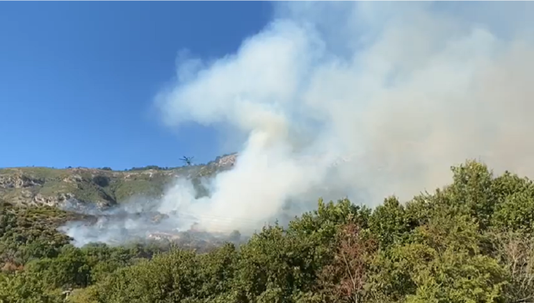 Monte Stella, incendio nel pomeriggio. Intervenuti i Vigili del Fuoco