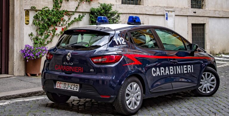 Vallo della Lucania, due arresti per furto aggravato