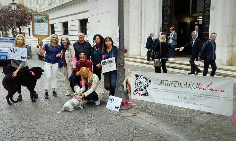 Salerno, uccisione della cagnolina Chicca: martedì il processo d’Appello