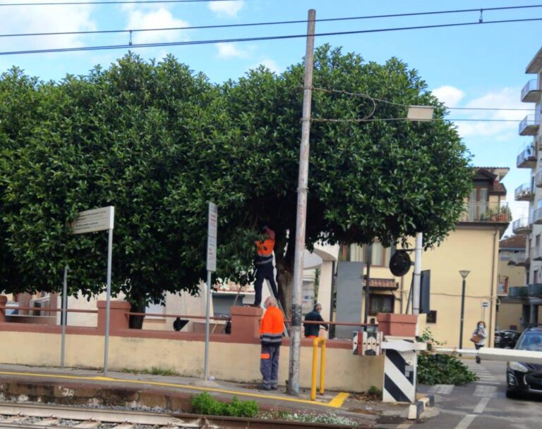 Nocera Superiore, verde pubblico: ok al Piano di Manutenzione annuale