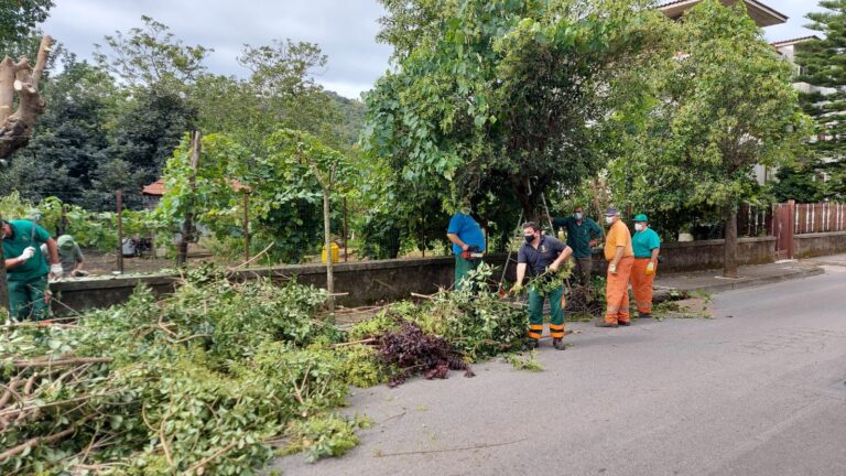 Roccapiemonte, via agli interventi di potatura degli alberi