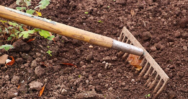 Eboli, viola la quarantena per raccogliere l’insalata: denunciato 67enne