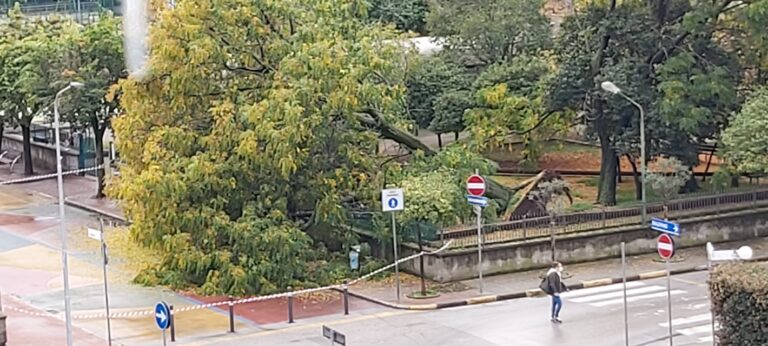 Pontecagnano, alberi cadono nel parco dell’istituto Picentia