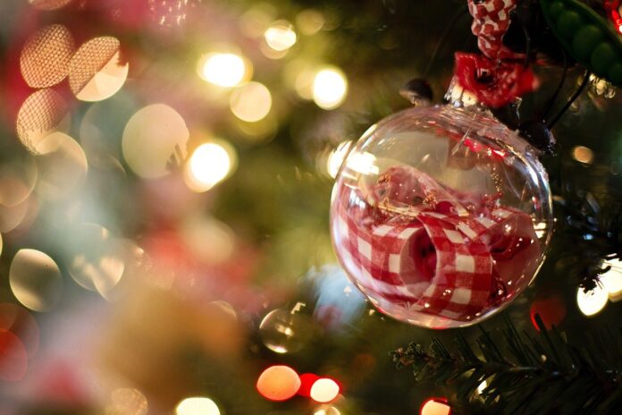 natale fisciano