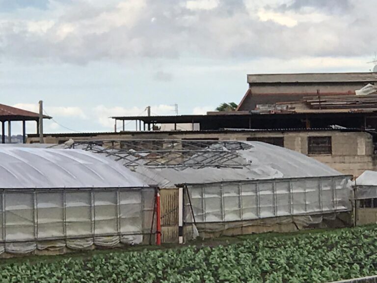 Maltempo nell’Agro Nocerino-Sarnese, Coldiretti: “Danni all’agricoltura”