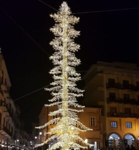 cava albero di natale