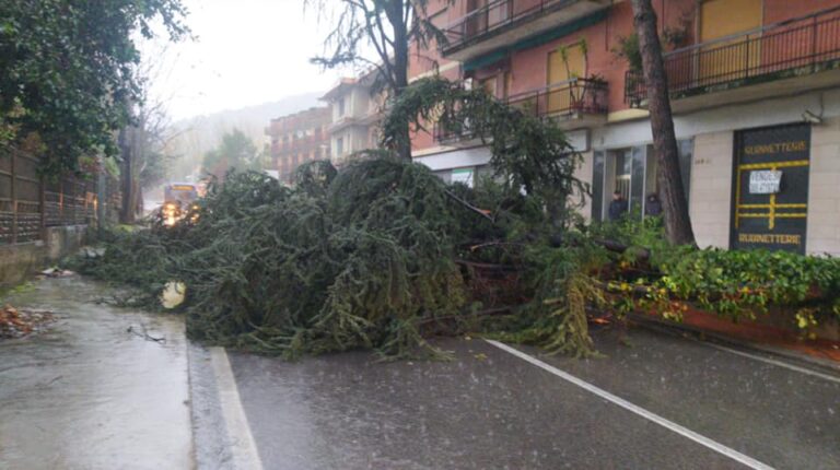 Maltempo, cade un albero al confine di Pellezzano. Chiuso il cimitero