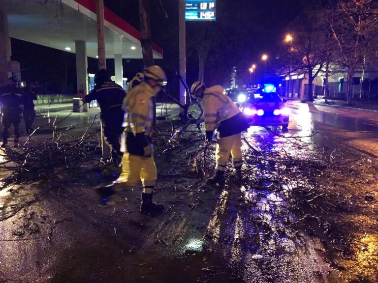 Battipaglia, il maltempo provoca la caduta di un albero