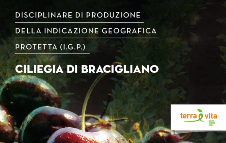 Bracigliano: pubblicato disciplinare di produzione IGP della ciliegia