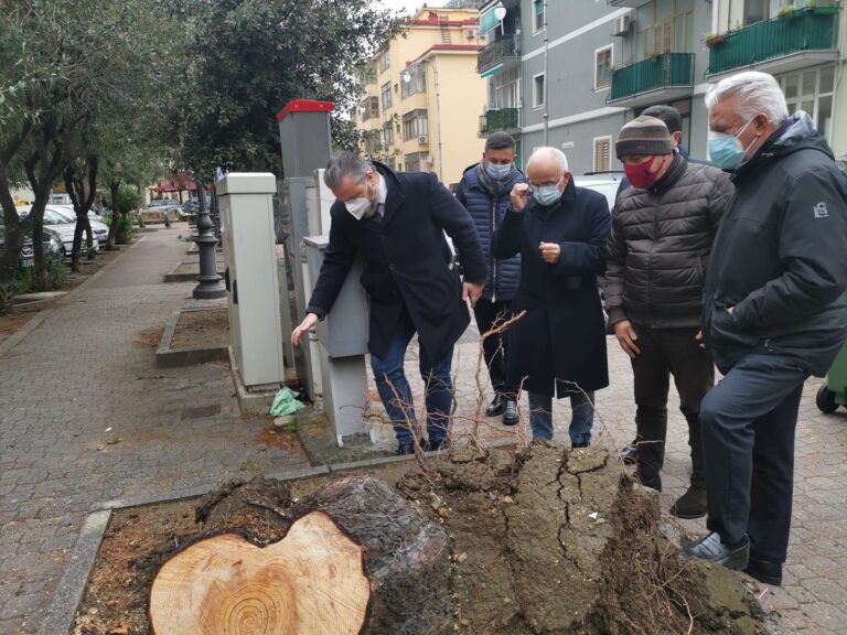 Maltempo a Salerno: i danni registrati a Torrione
