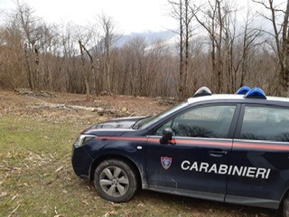 Controlli sul territorio: ad Acerno sequestrato un bosco