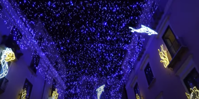 Salerno: installato nella piazza della stazione “l’Albero della Famiglia”